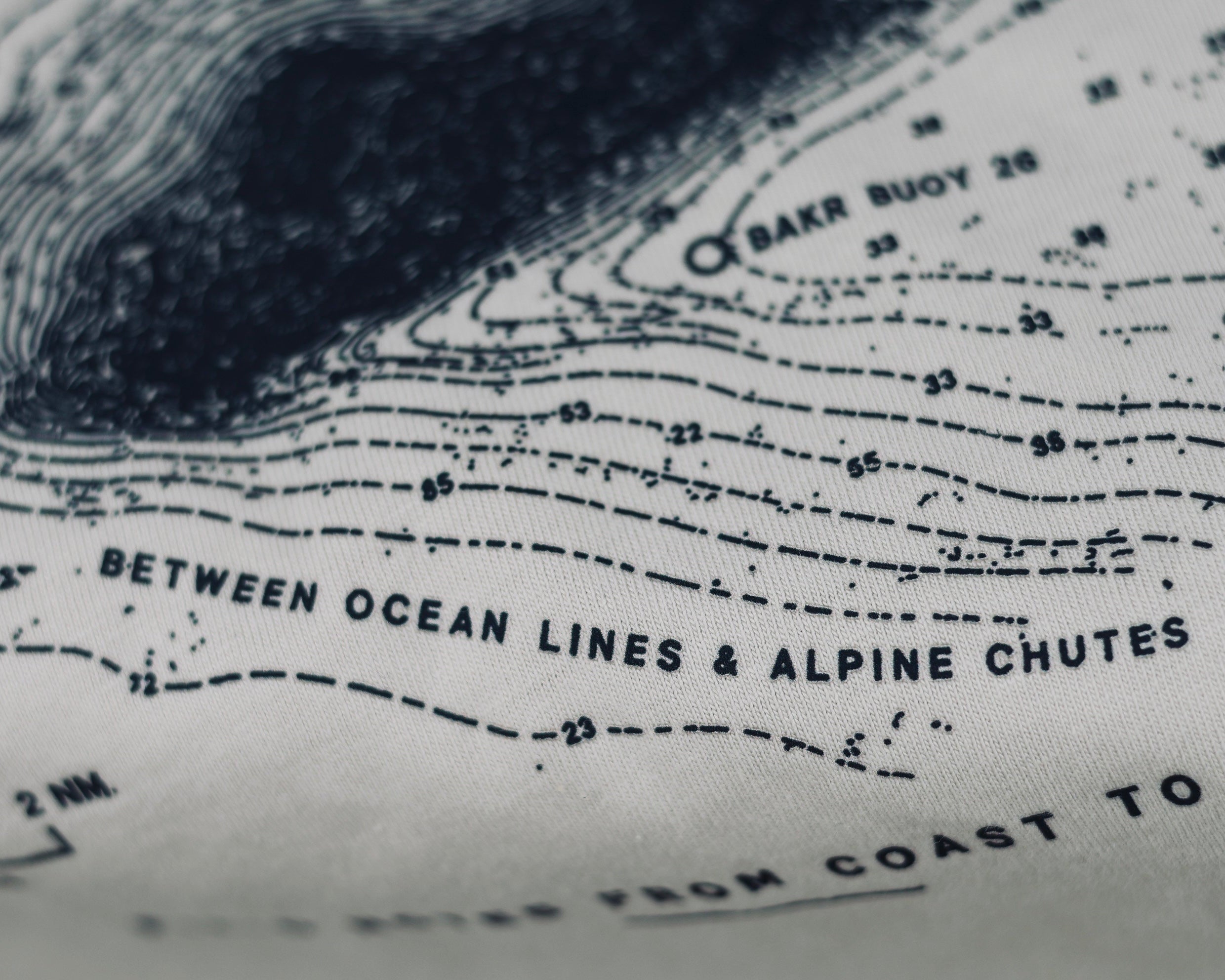 BAKR Coast Survey Pigment Tee -- Bone
